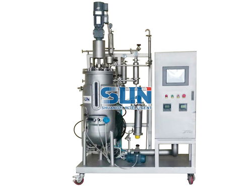 Mechanical Stirring Stainless Steel Fermenter Pilot Fermentation System